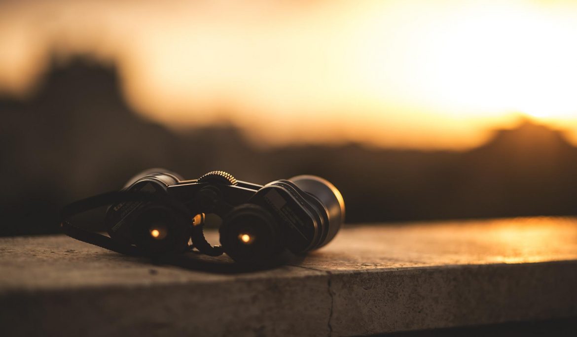 Discover Hive’s Dental Market Insights