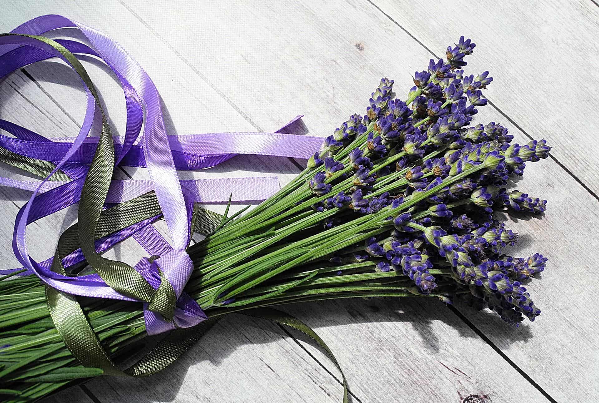 Great News: Gifts to Staff are Exempt
