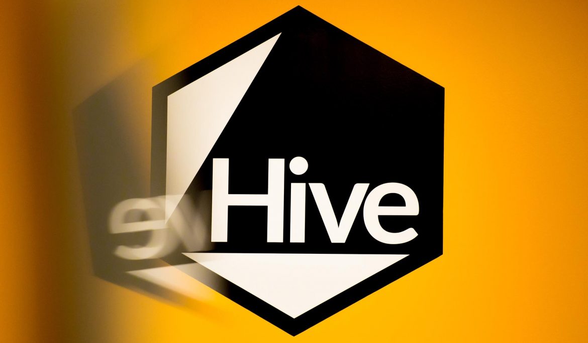 My summer placement at Hive Business