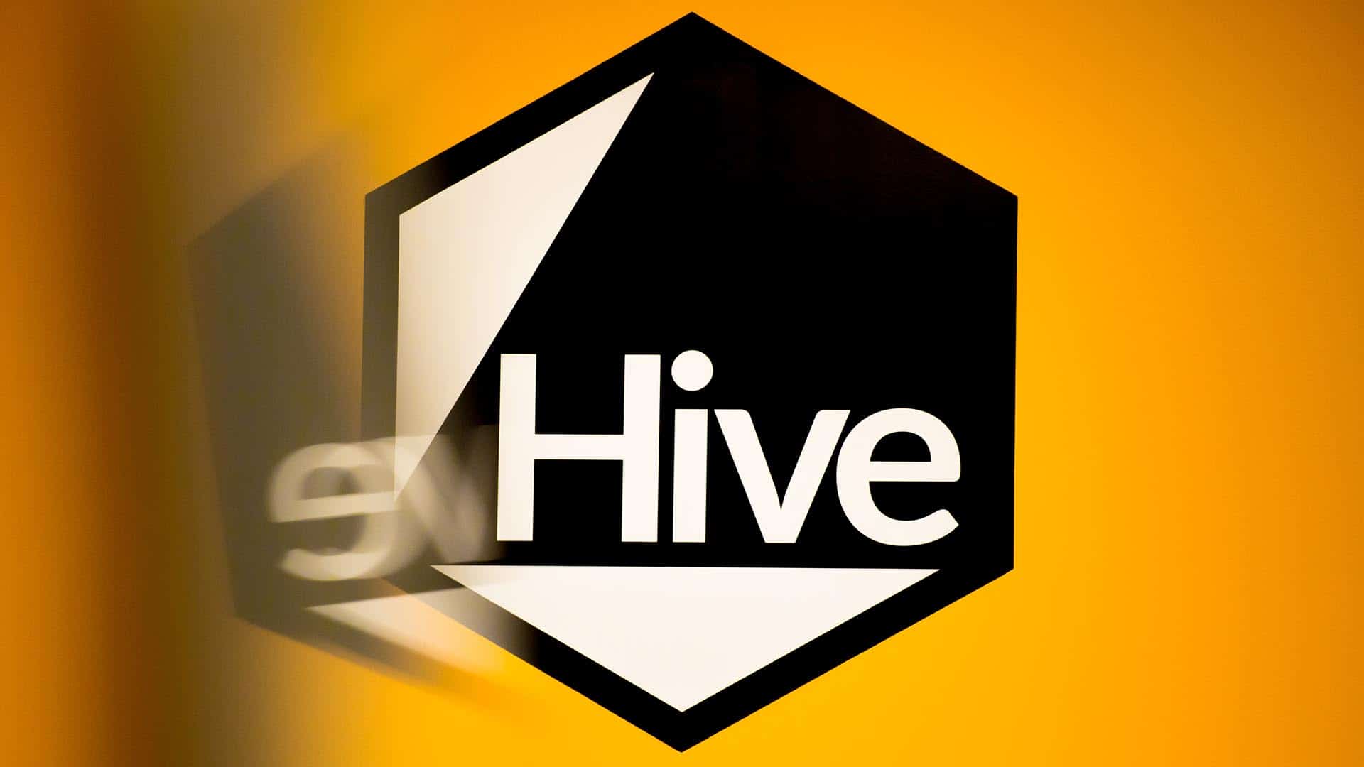 My summer placement at Hive Business