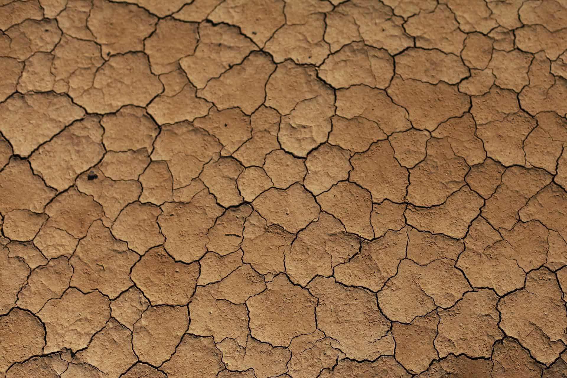 VAT on Facial Aesthetics – The Run Down