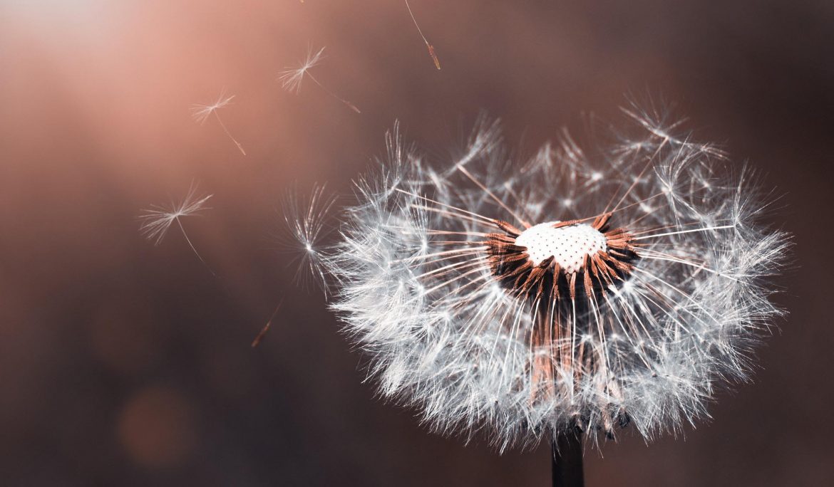 You must change to grow