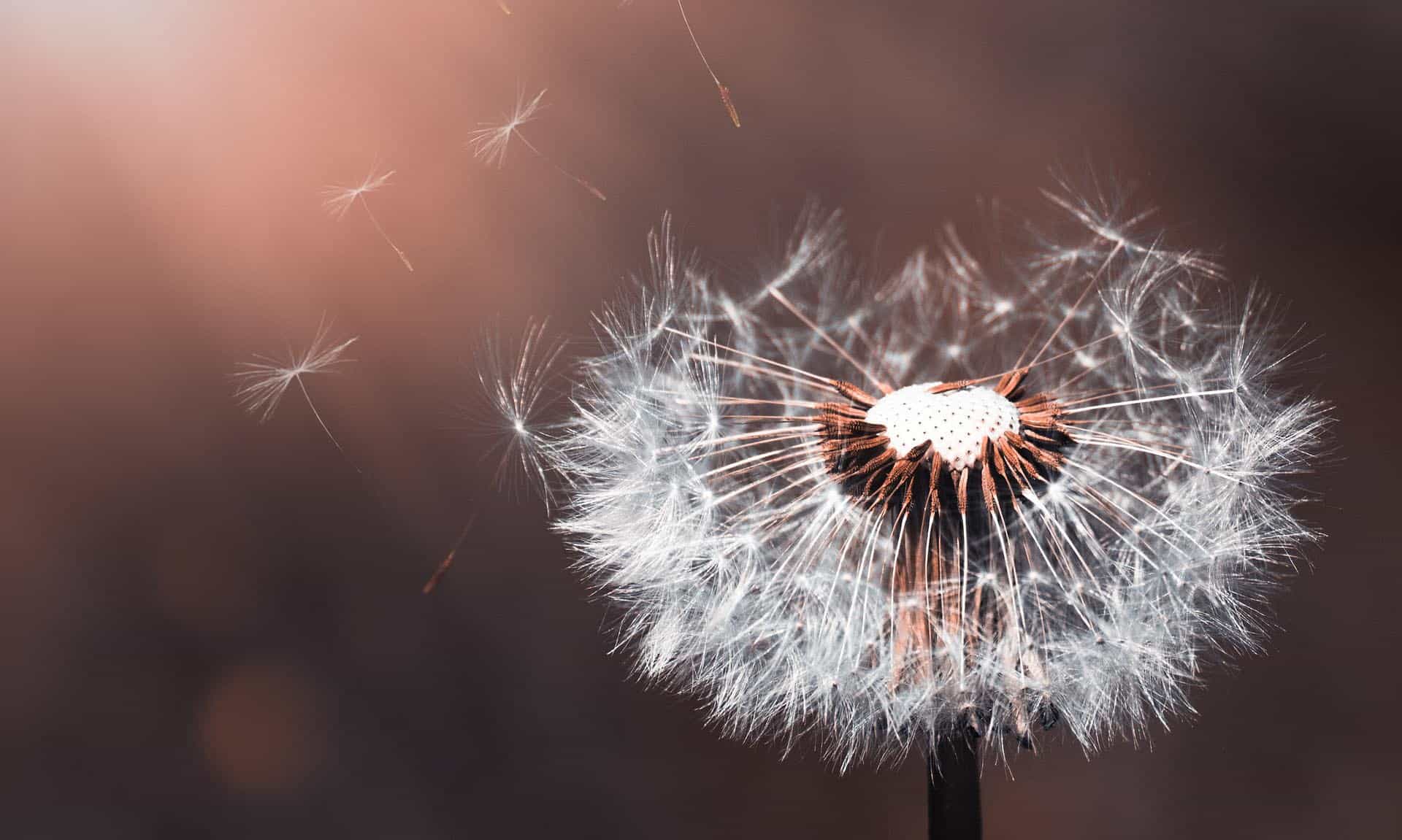 You must change to grow