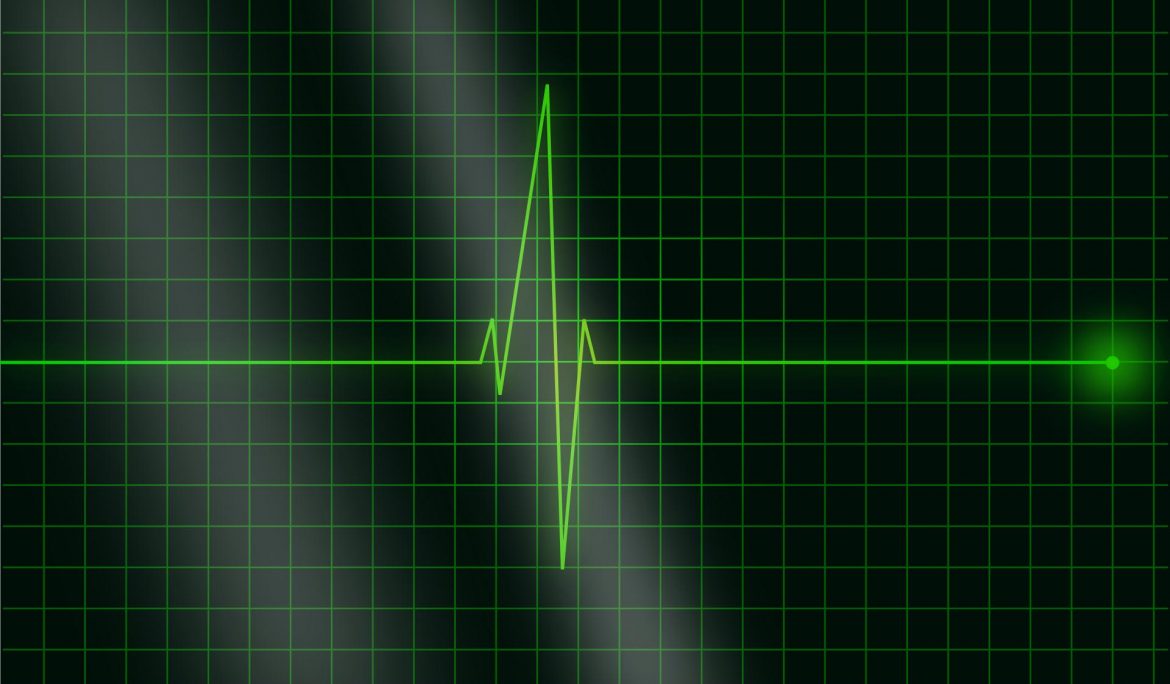 Your company needs a head and a heart