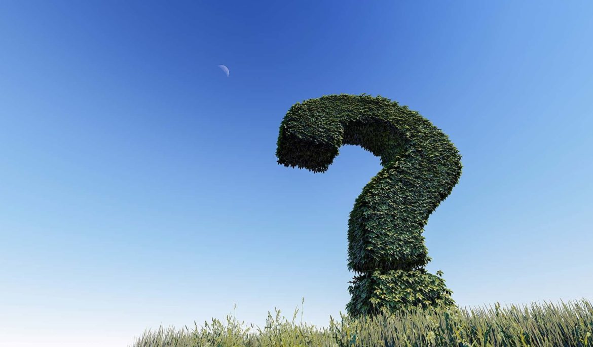 Leaders love big question marks