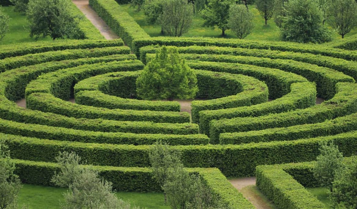 When you don’t know the solution, keep moving