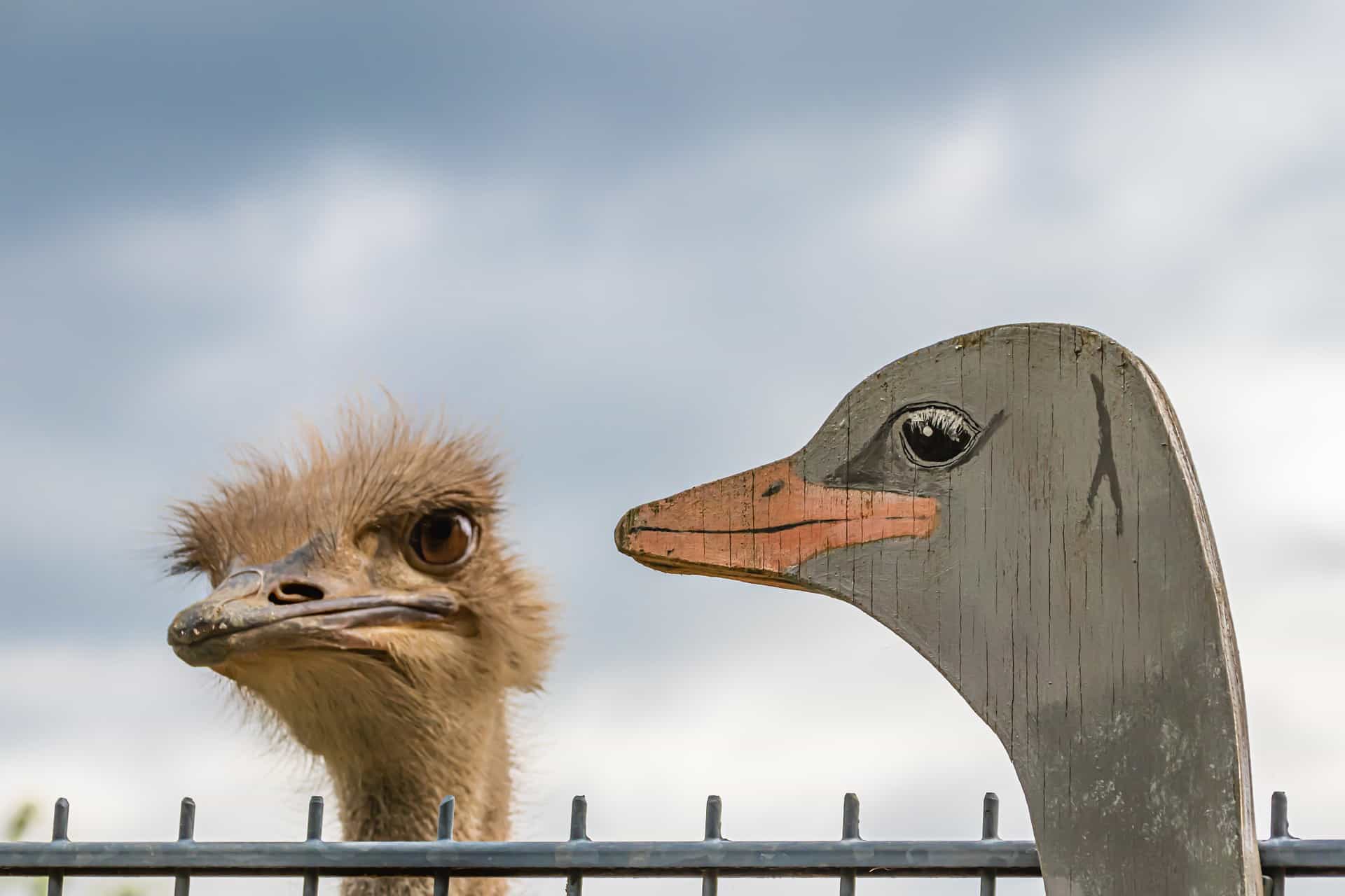 Are you a victim of imposter syndrome?