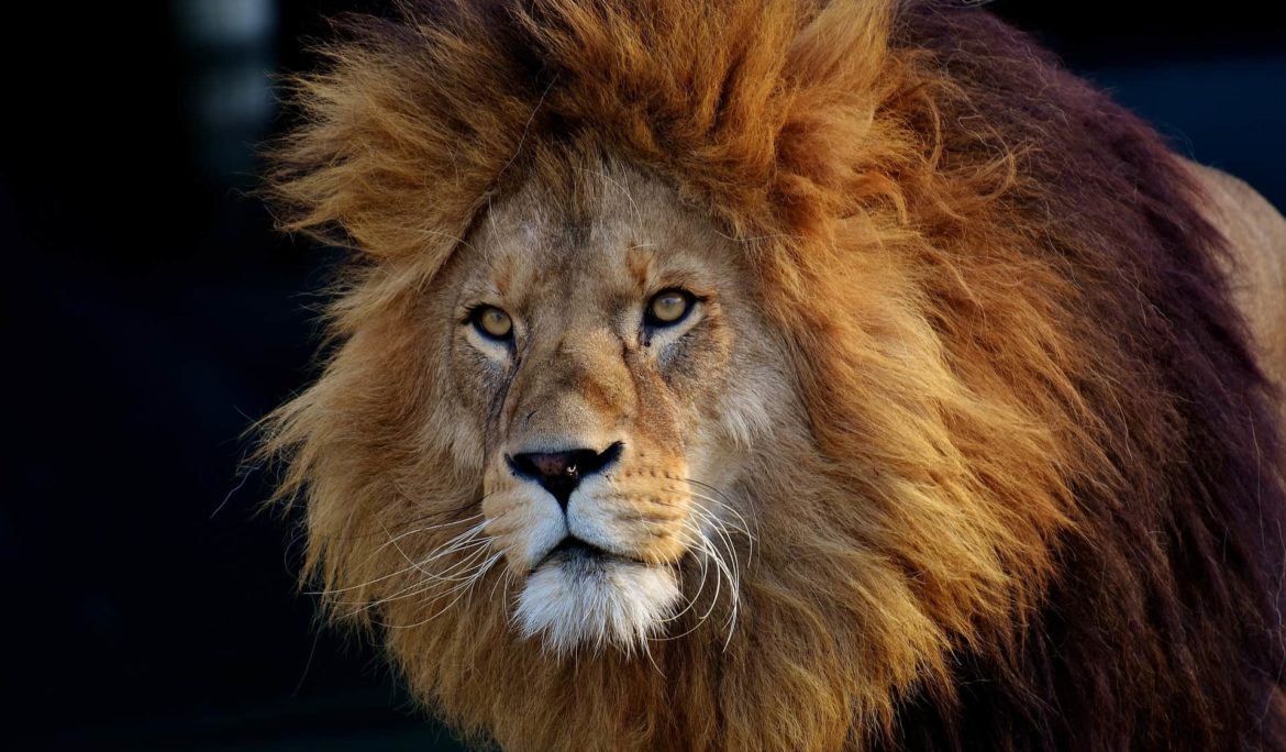 If power corrupts, it also reveals