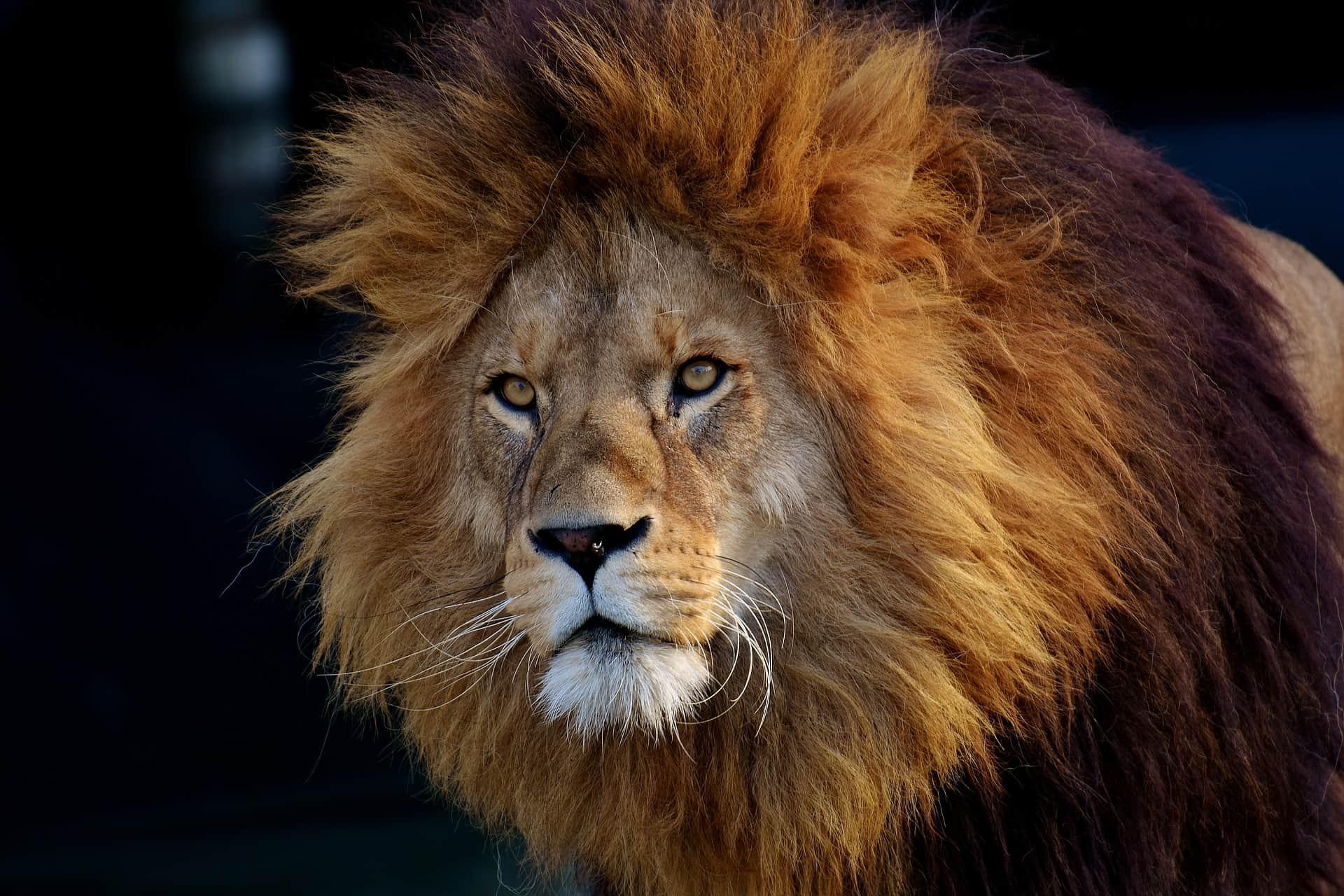 If power corrupts, it also reveals
