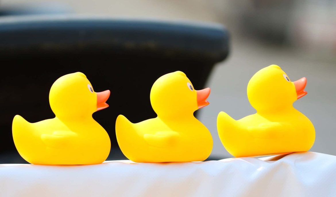 Are your staff workers?