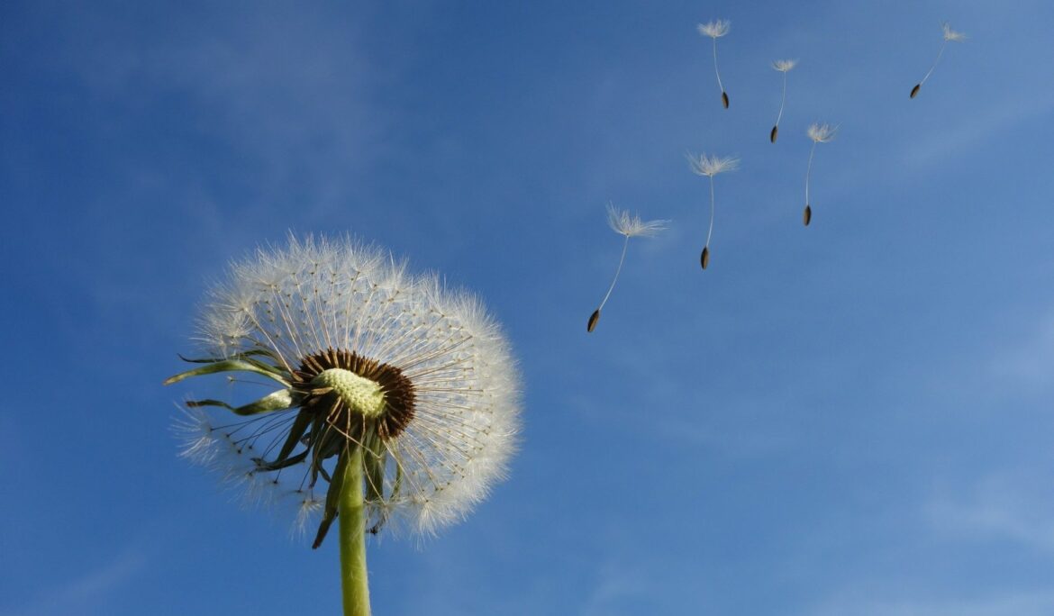 Alternative Tax Investments – EIS/SEIS and more!