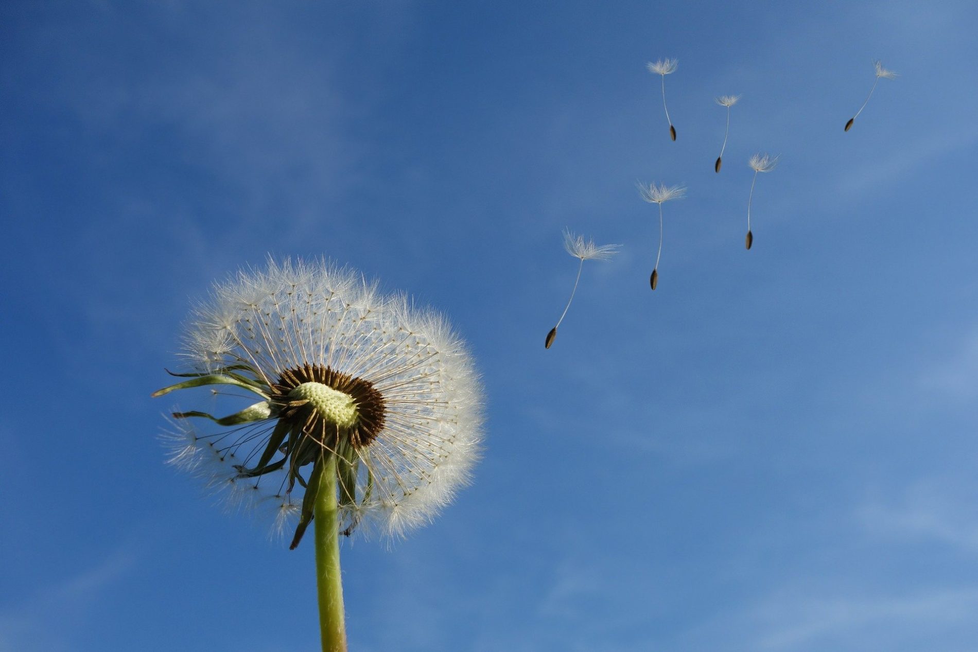 Alternative Tax Investments – EIS/SEIS and more!