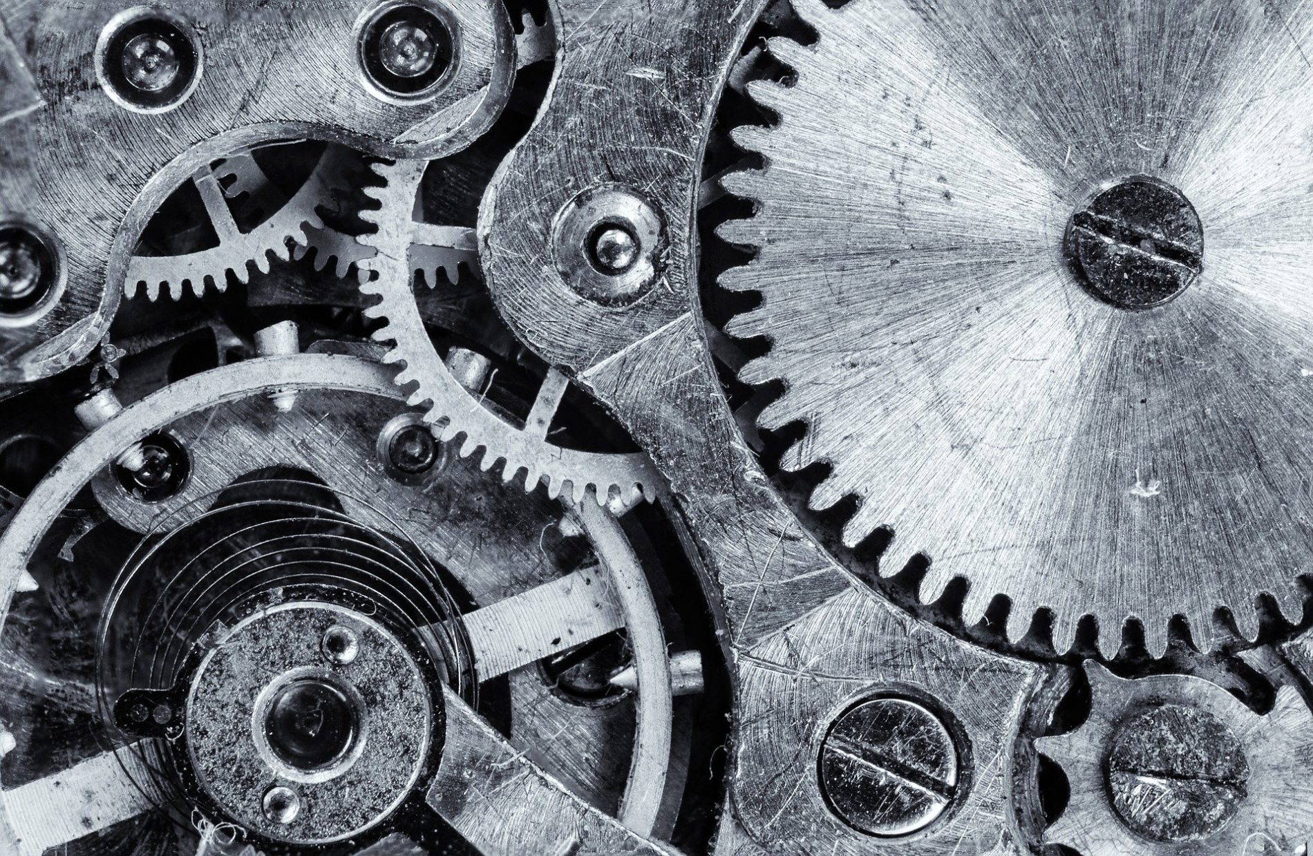 The value of a PPC campaign