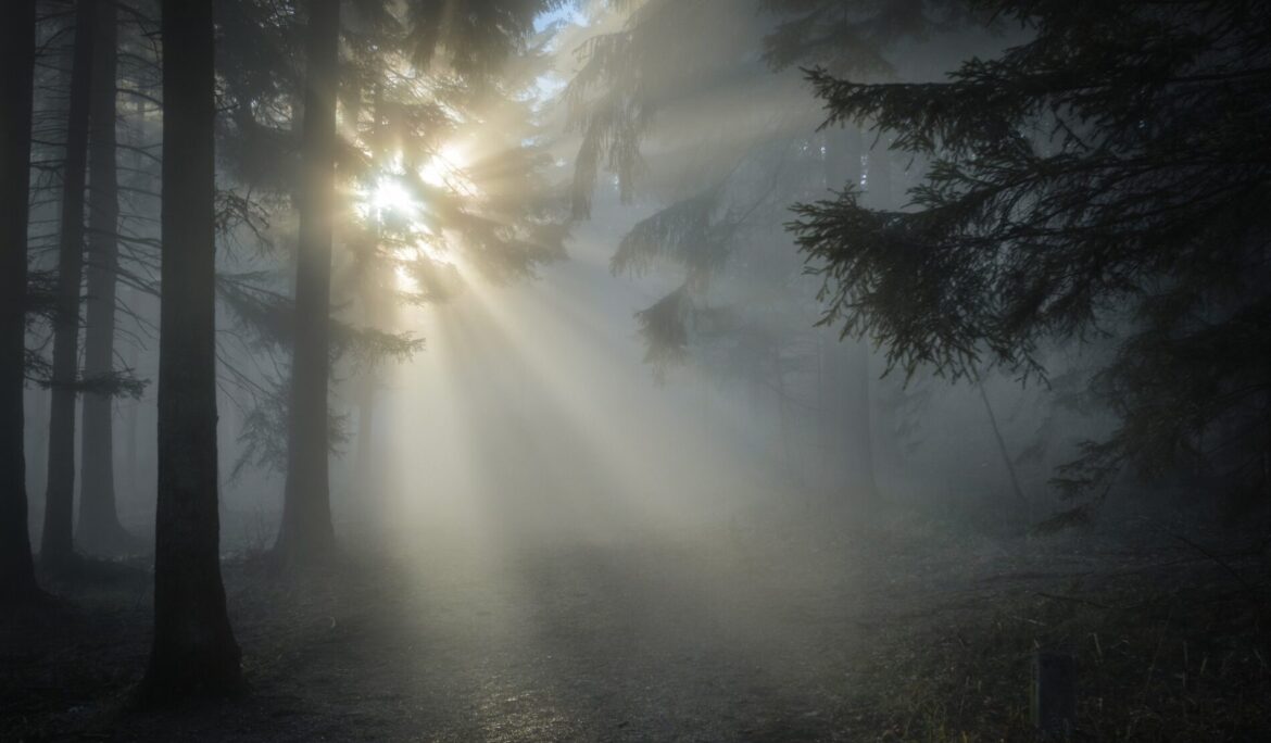 Clear the financial fog of uncertainty