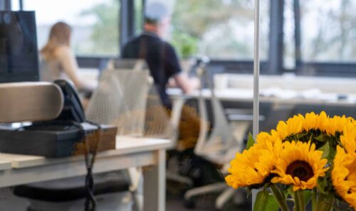 Meet the new departments of Hive Accountancy