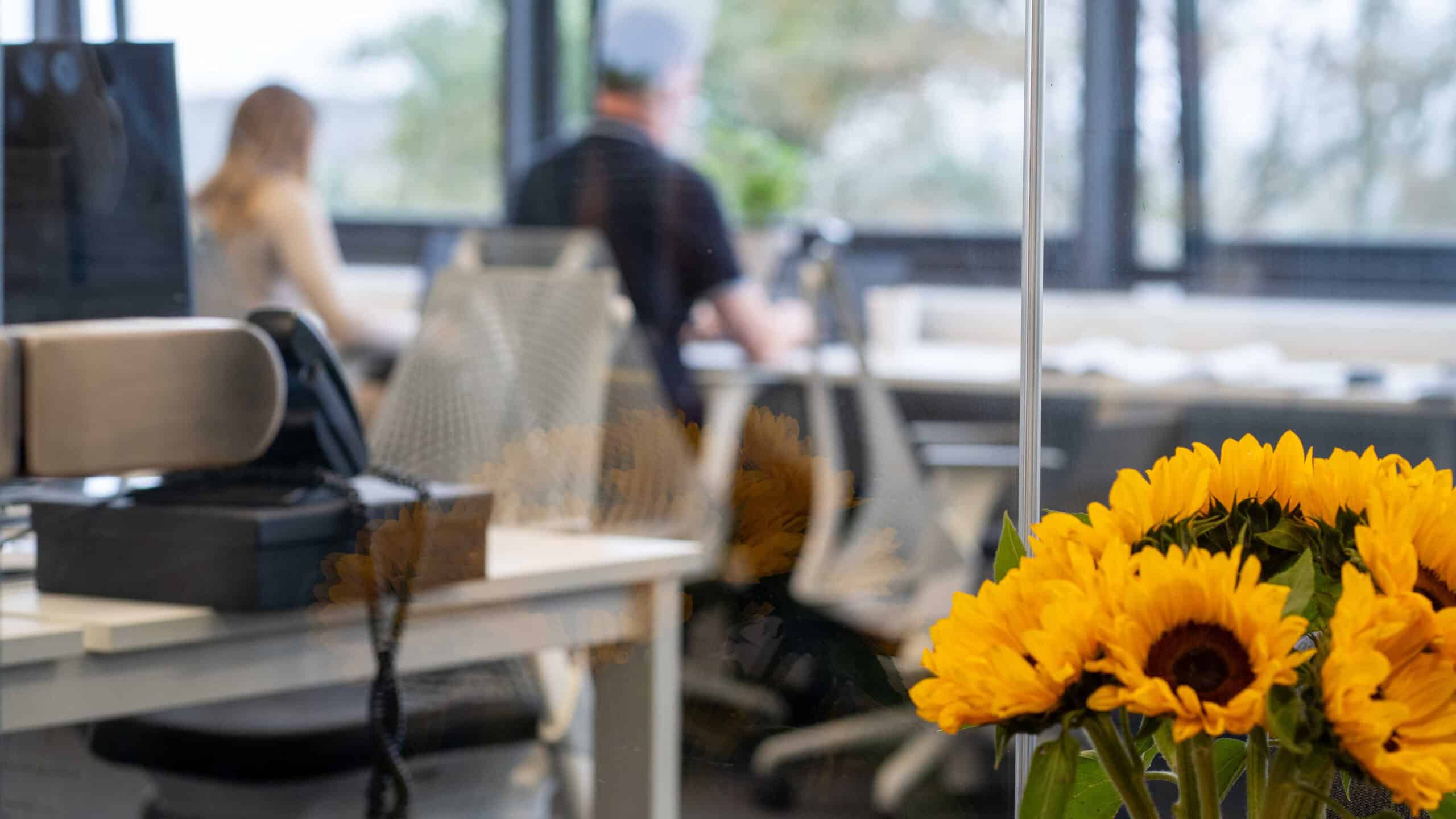 Meet the new departments of Hive Accountancy