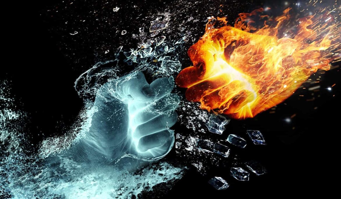 Fight, Flee, or Freeze