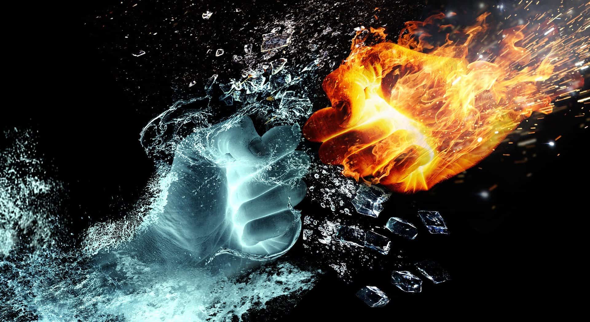 Fight, Flee, or Freeze
