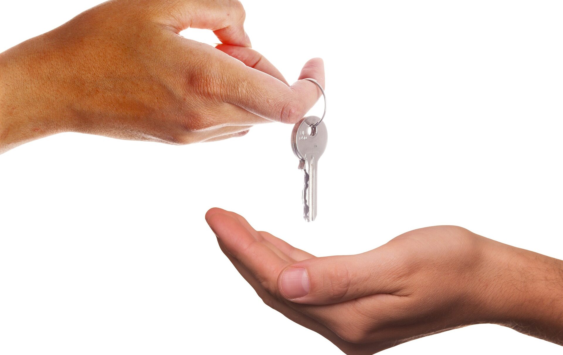 Christie & Co Dental Market Update 2024