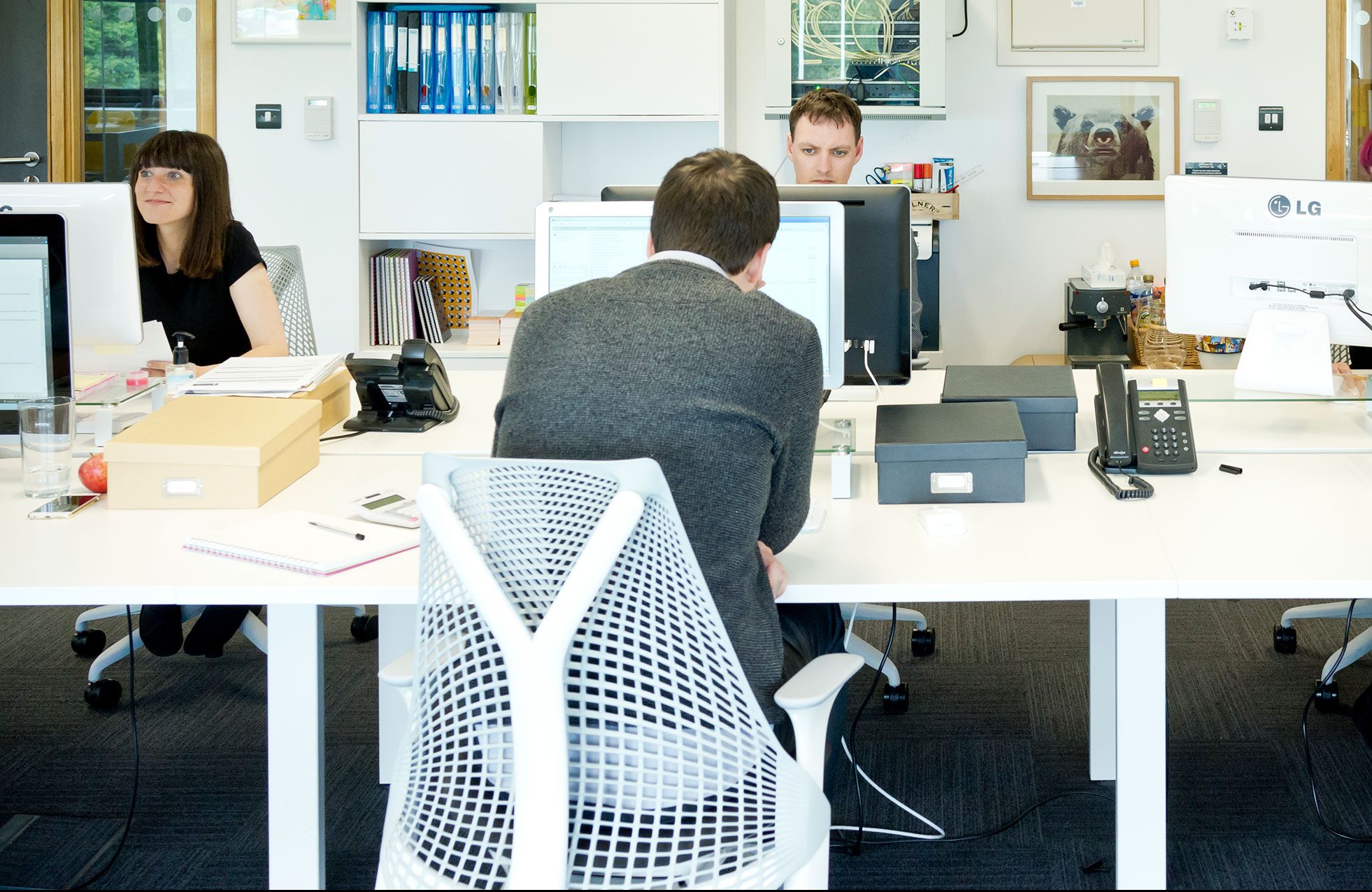 Hive team working at desks